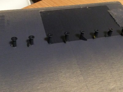 IMG_0919 (1024x765).jpg